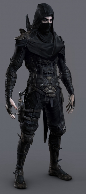 thief_27.jpg.jpg