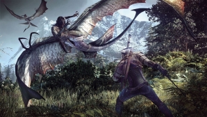 the_witcher_3_45.jpg