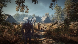 the_witcher_3_46.jpg