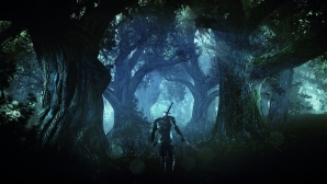 the_witcher_3_50.jpg