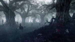 the_witcher_3_56.jpg