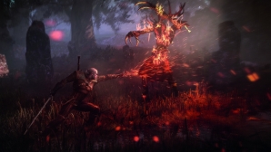 the_witcher_3_57.jpg