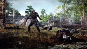 the_witcher_3_58.jpg