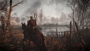 the_witcher_3_60.jpg
