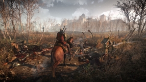 the_witcher_3_61.jpg