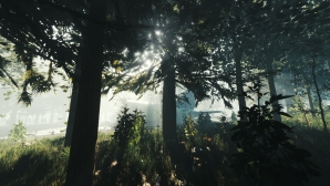 the_forest_01